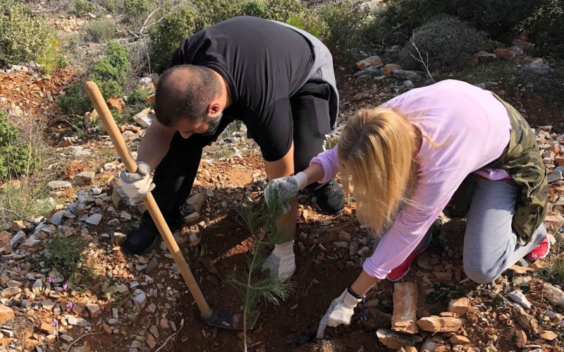Eθελοντική αναδάσωση του Υμηττού από τους εργαζομένους της LeasePlan Hellas