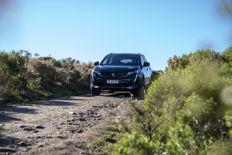 Flexcar-adv-suv-2