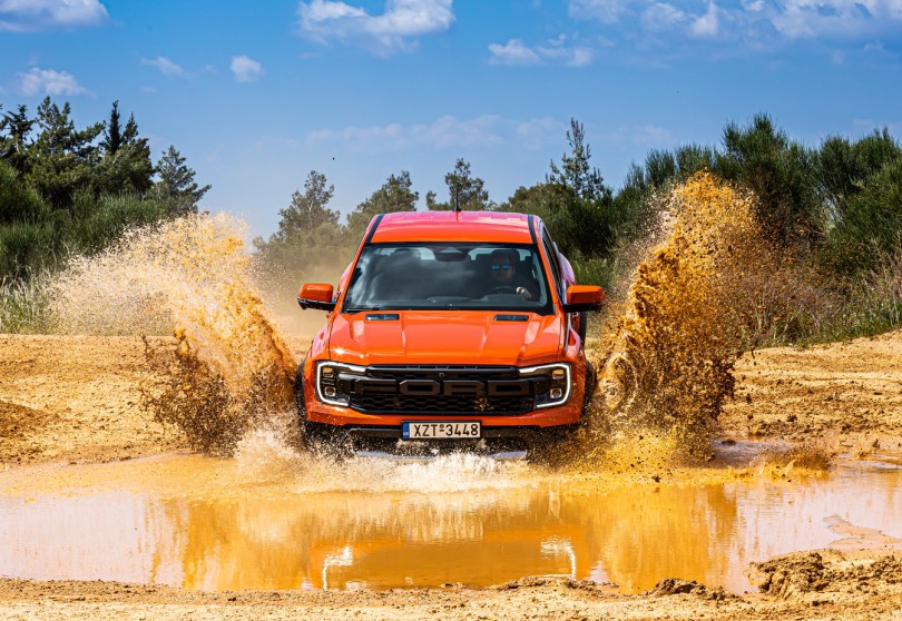 raptor