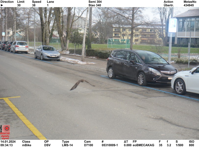 zurich-zirixi-pouli-kamera-taxitita
