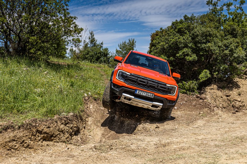 raptor