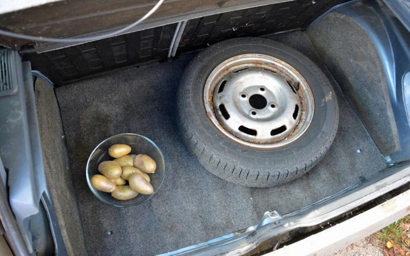 top10-strange-laws-potato-limit