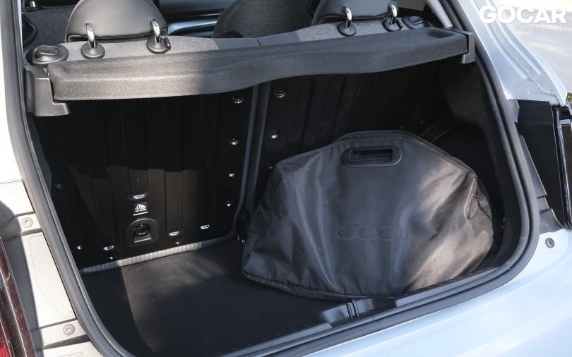 trunk