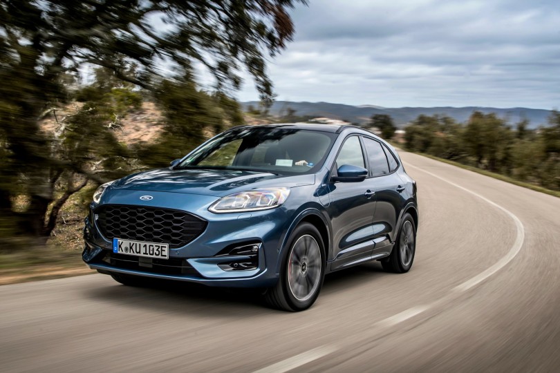 kuga