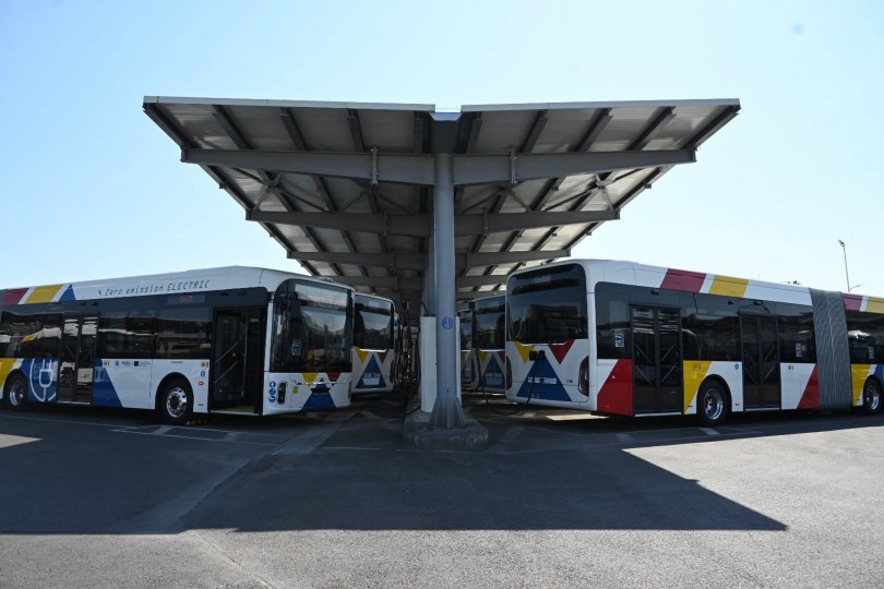 bus