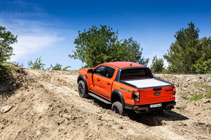 raptor