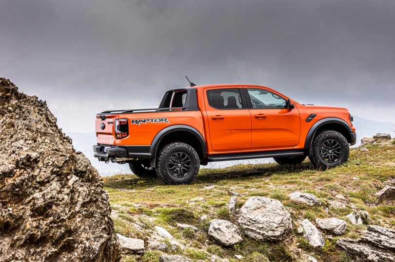 raptor