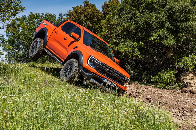 raptor