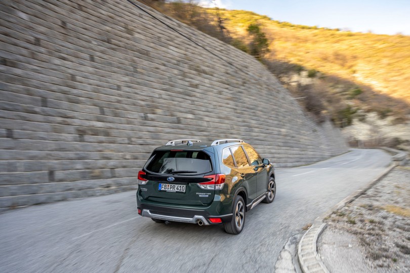 forester