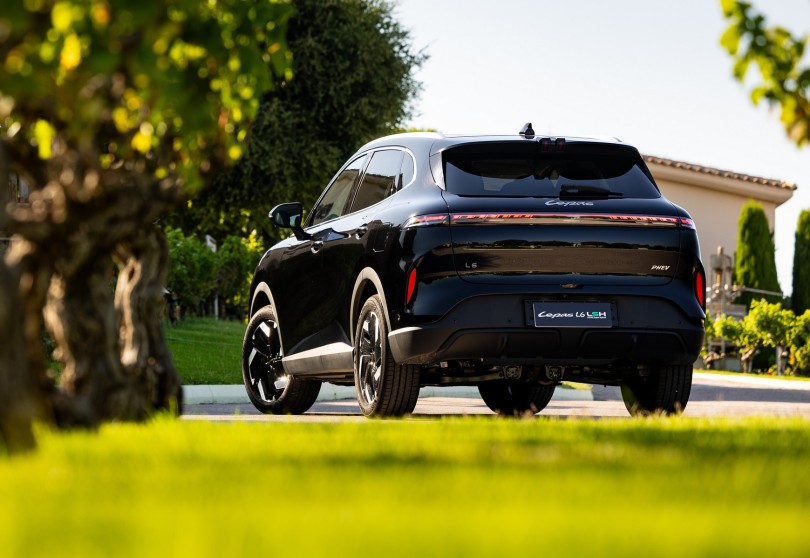 lepas