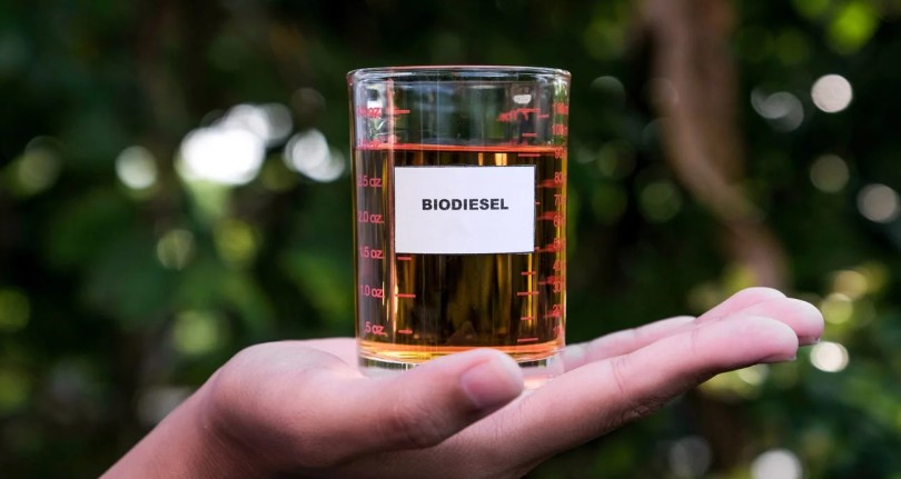 biodiesel