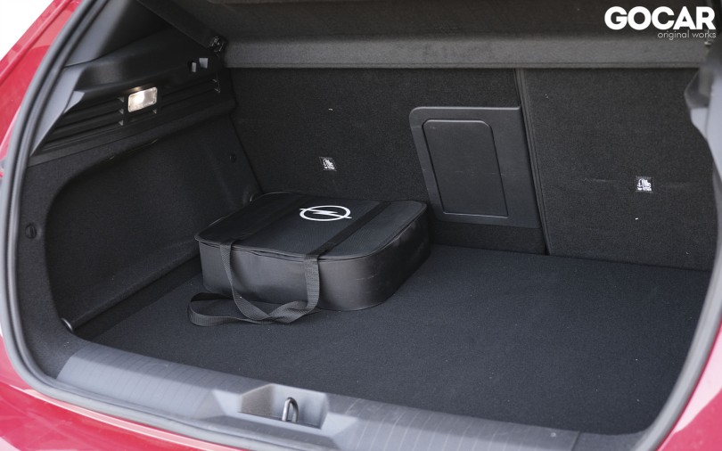 trunk