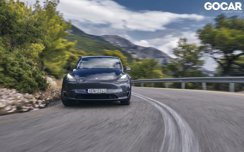 model y