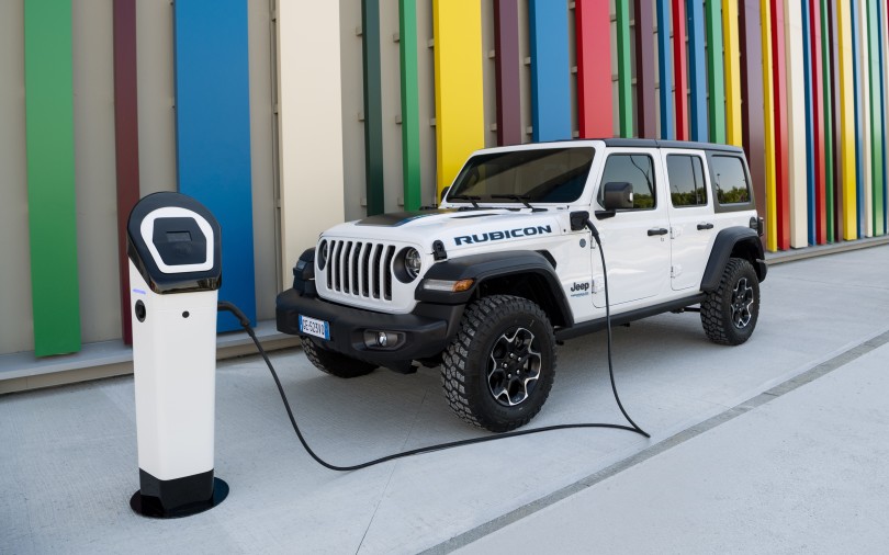 wrangler