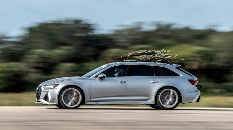 tree speed