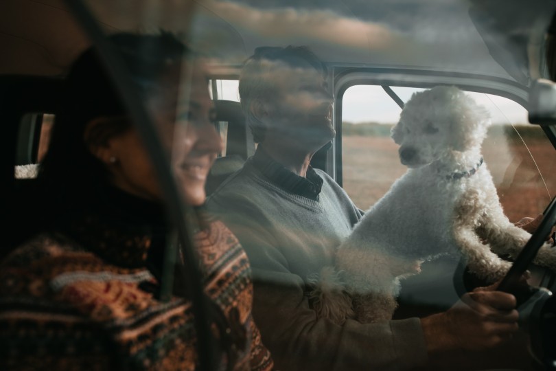 dog