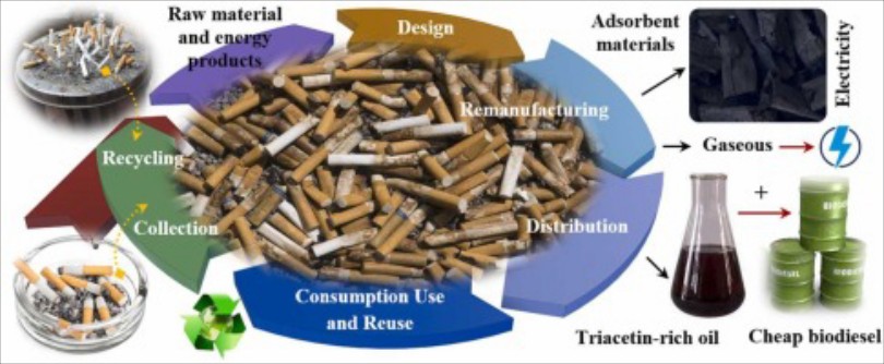 biodiesel