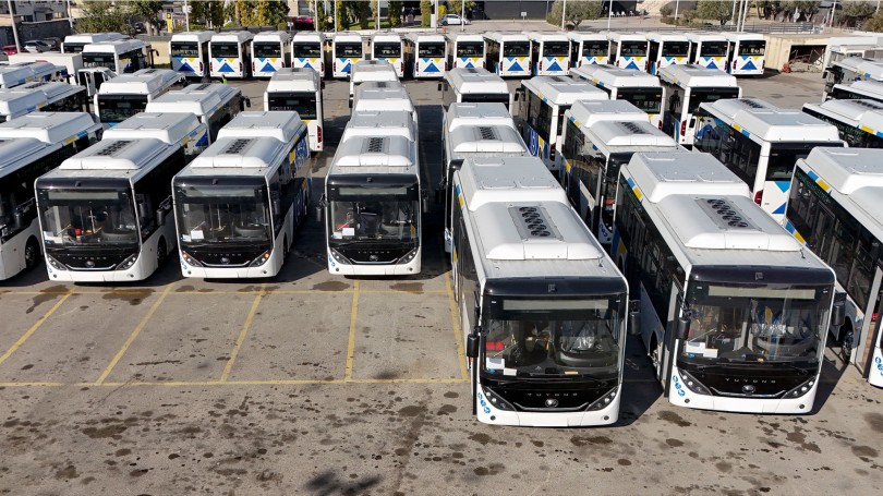 bus