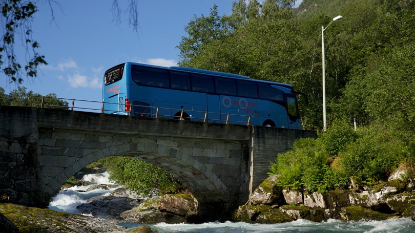 buses teli1