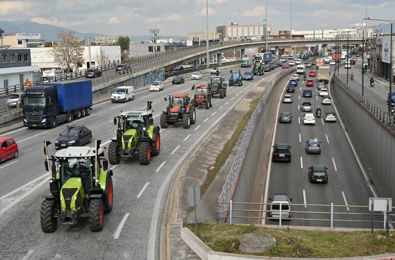 agrotes