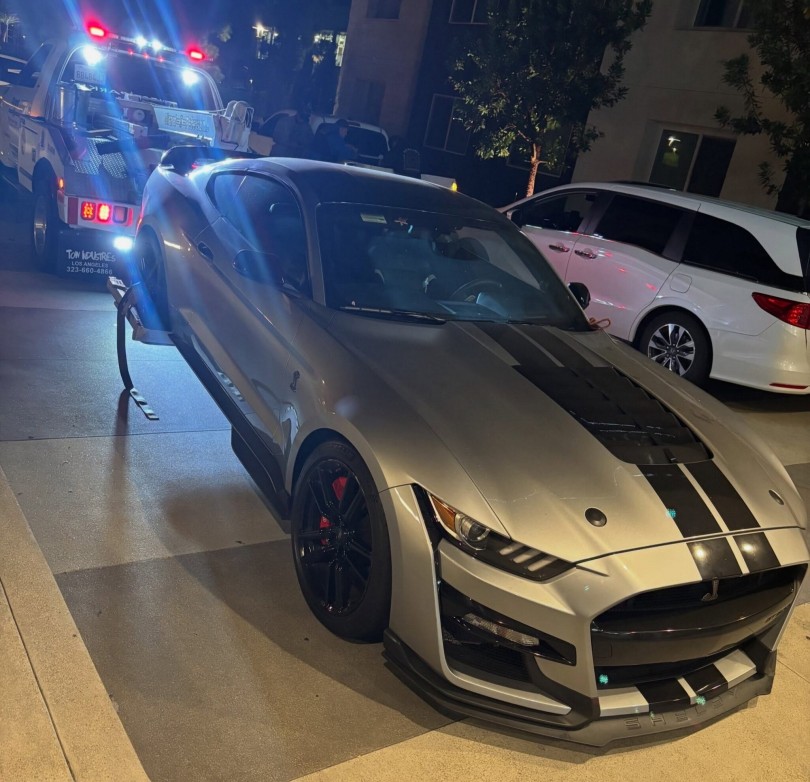 shelby