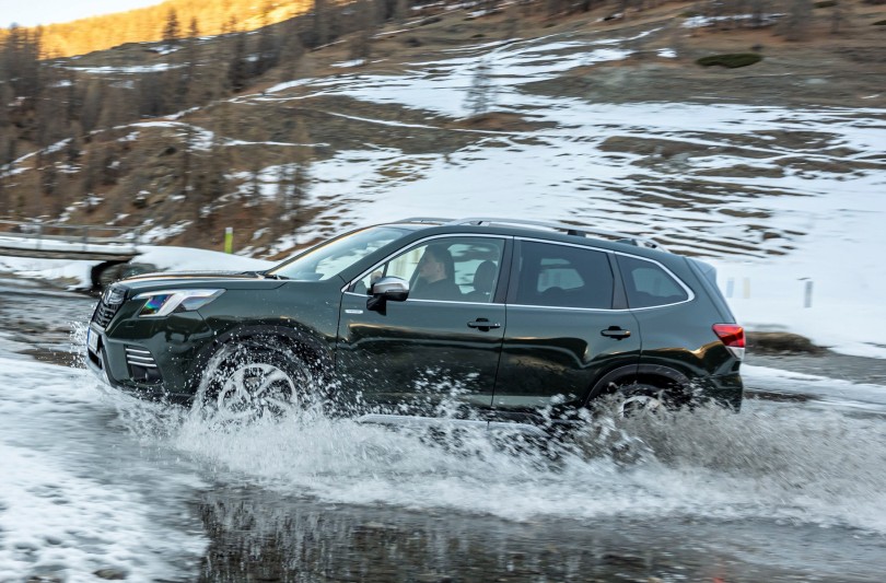 forester