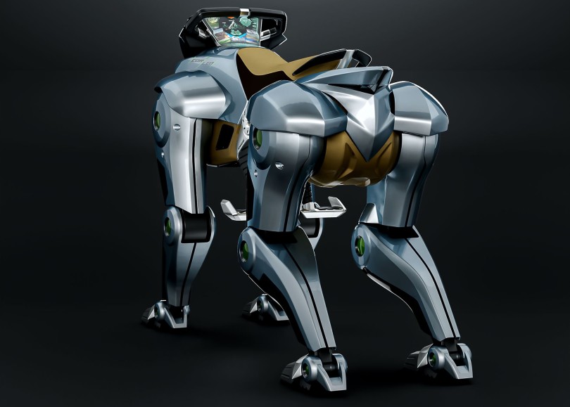 Kawasaki-Corleo-3