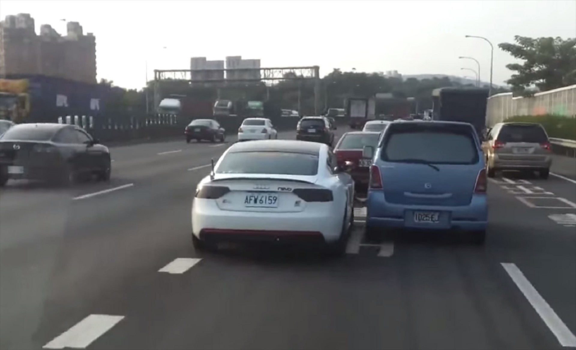 VIDEO: Σαν τα κοκόρια!