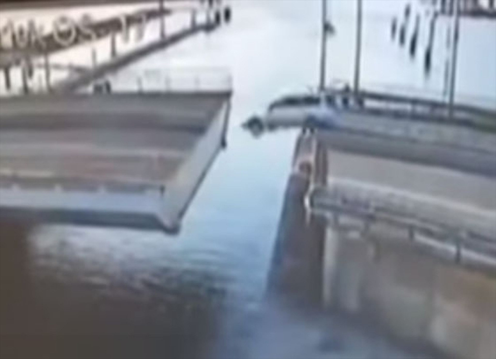 Έκανε… βουτιά στη θάλασσα (VIDEO)