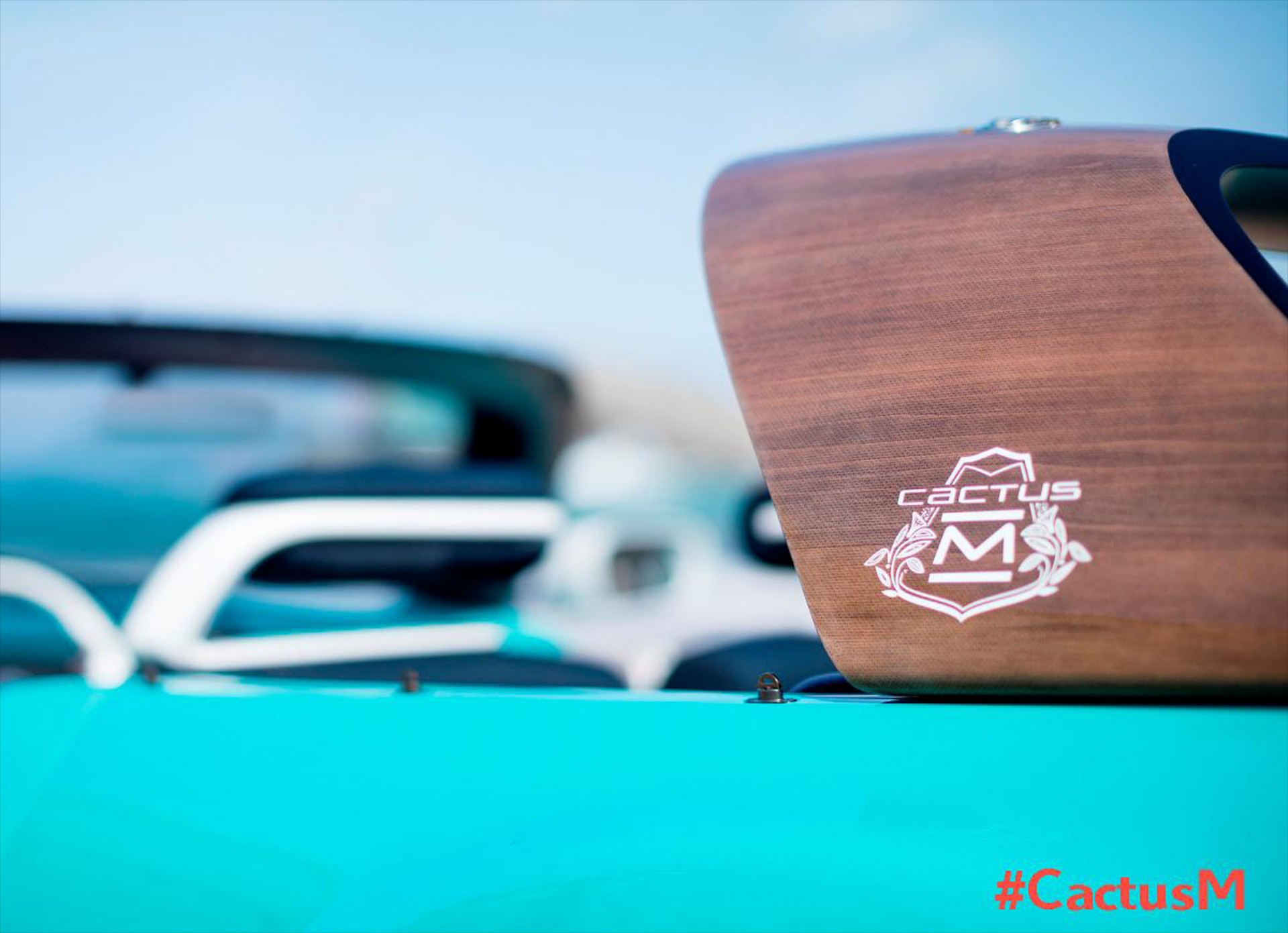 Νέο teaser του Citroen Cactus M concept