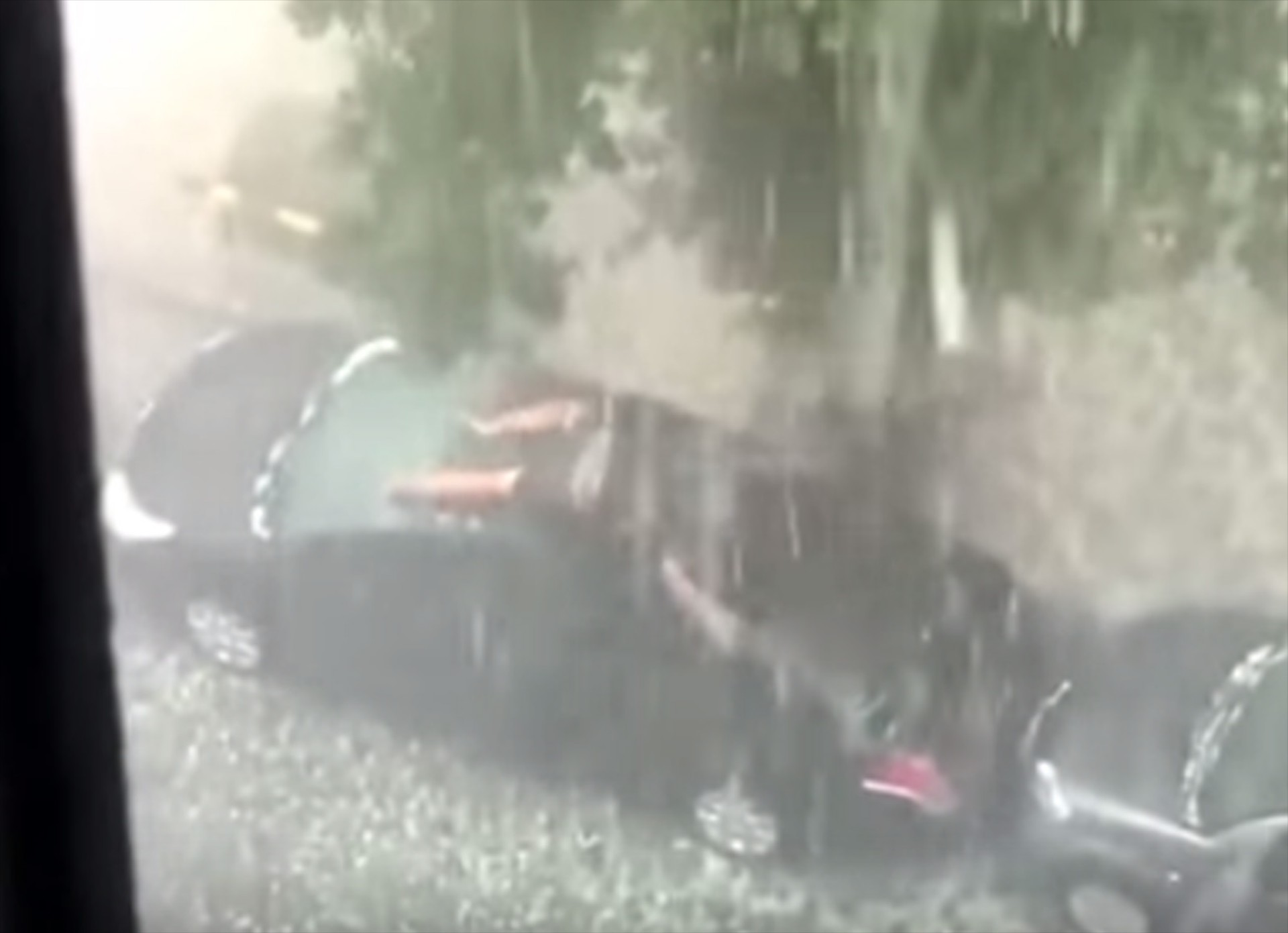 Είναι τρελός ο άνθρωπος; (VIDEO)