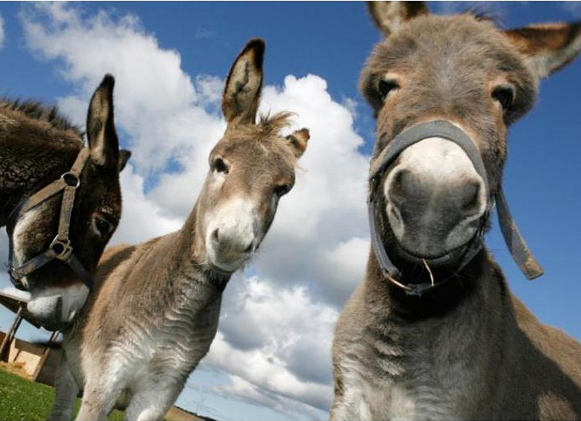 Πως αποφεύγουμε τα «μπλόκα» Αθήνα-Θεσσαλονίκη (Video)