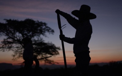 Τι κοινό έχουν τα πλαστικά ενός Ford με την τεκίλα;