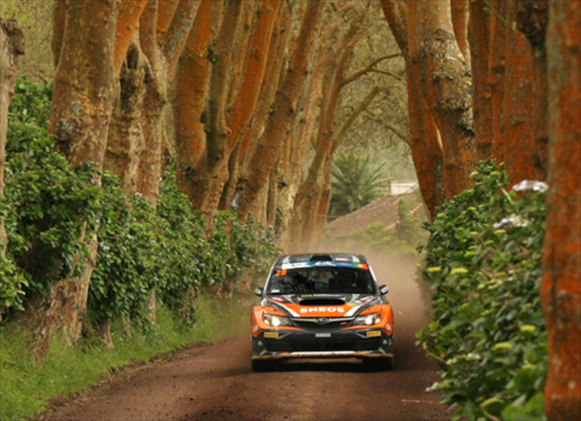 Πρωταθλήτρια στο ERC2 η Subaru