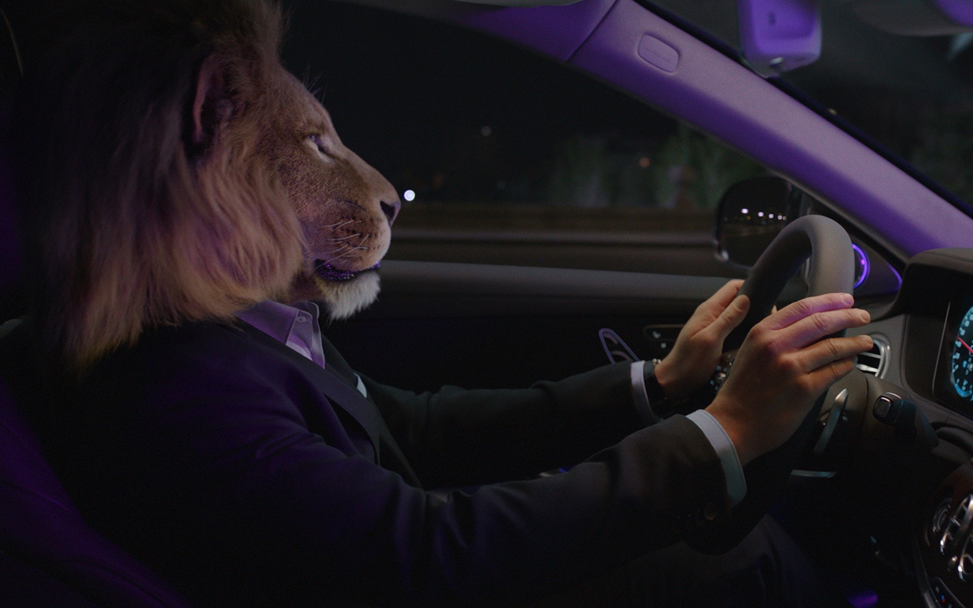 Τι οδηγεί ο βασιλιάς της ζούγκλας; (vid)