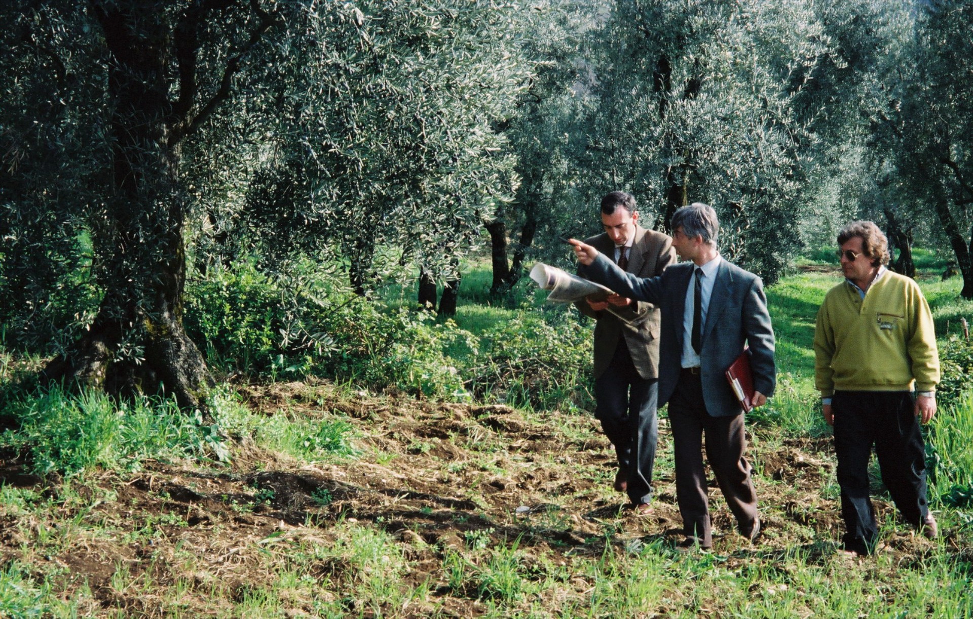 Ενέργεια από κουκούτσια ελιάς