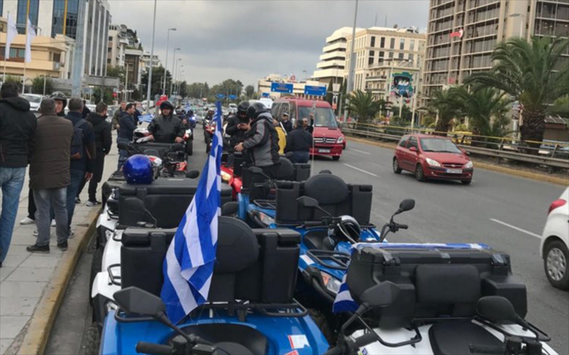 Επιτρέπεται για φέτος το καλοκαίρι να κυκλοφορούν οι γουρούνες