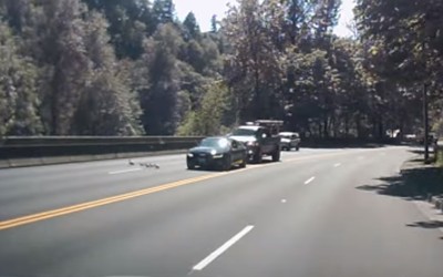 Θυσίασε το Audi του για τα… παπάκια! (video)