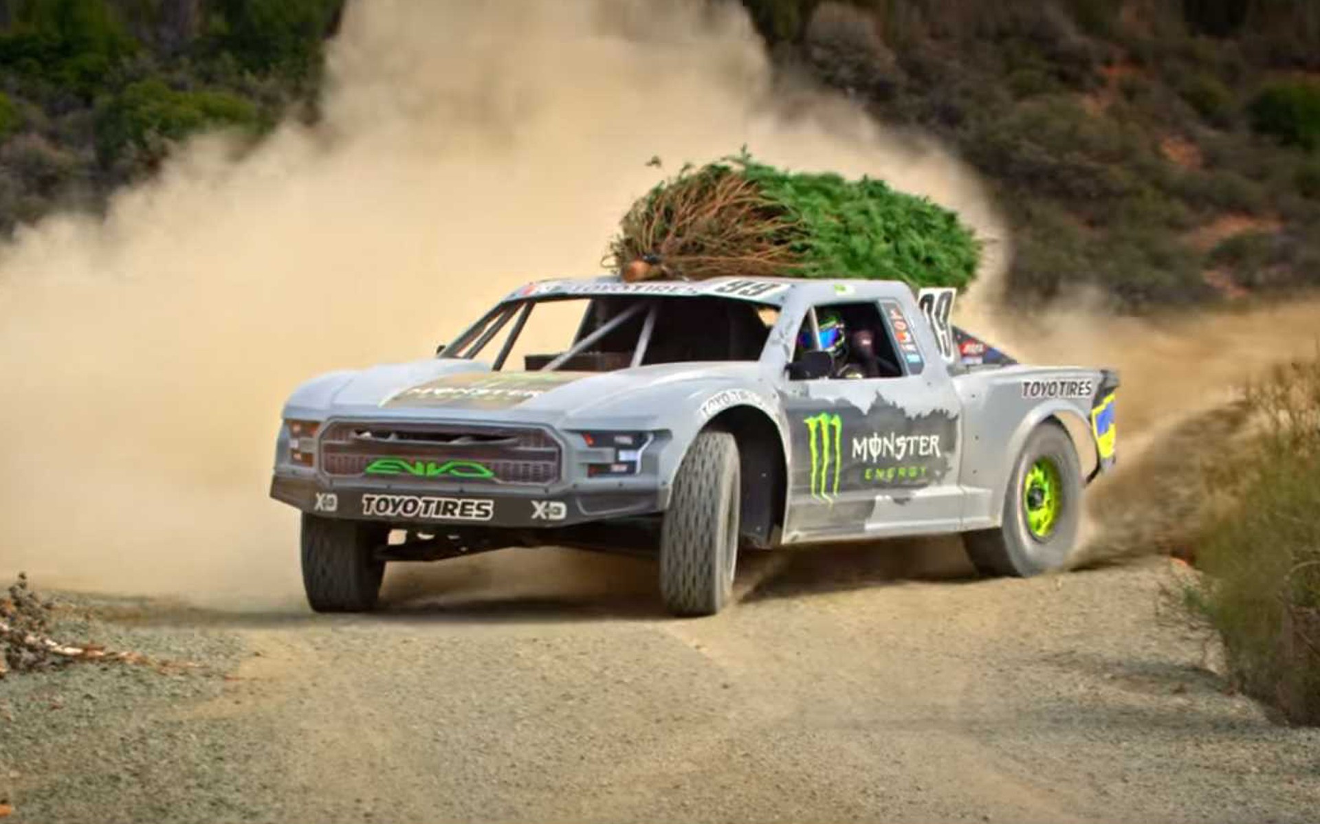 ΑΚΟΜΑ δεν στόλισες Χριστουγεννιάτικο Δέντρο; (video)