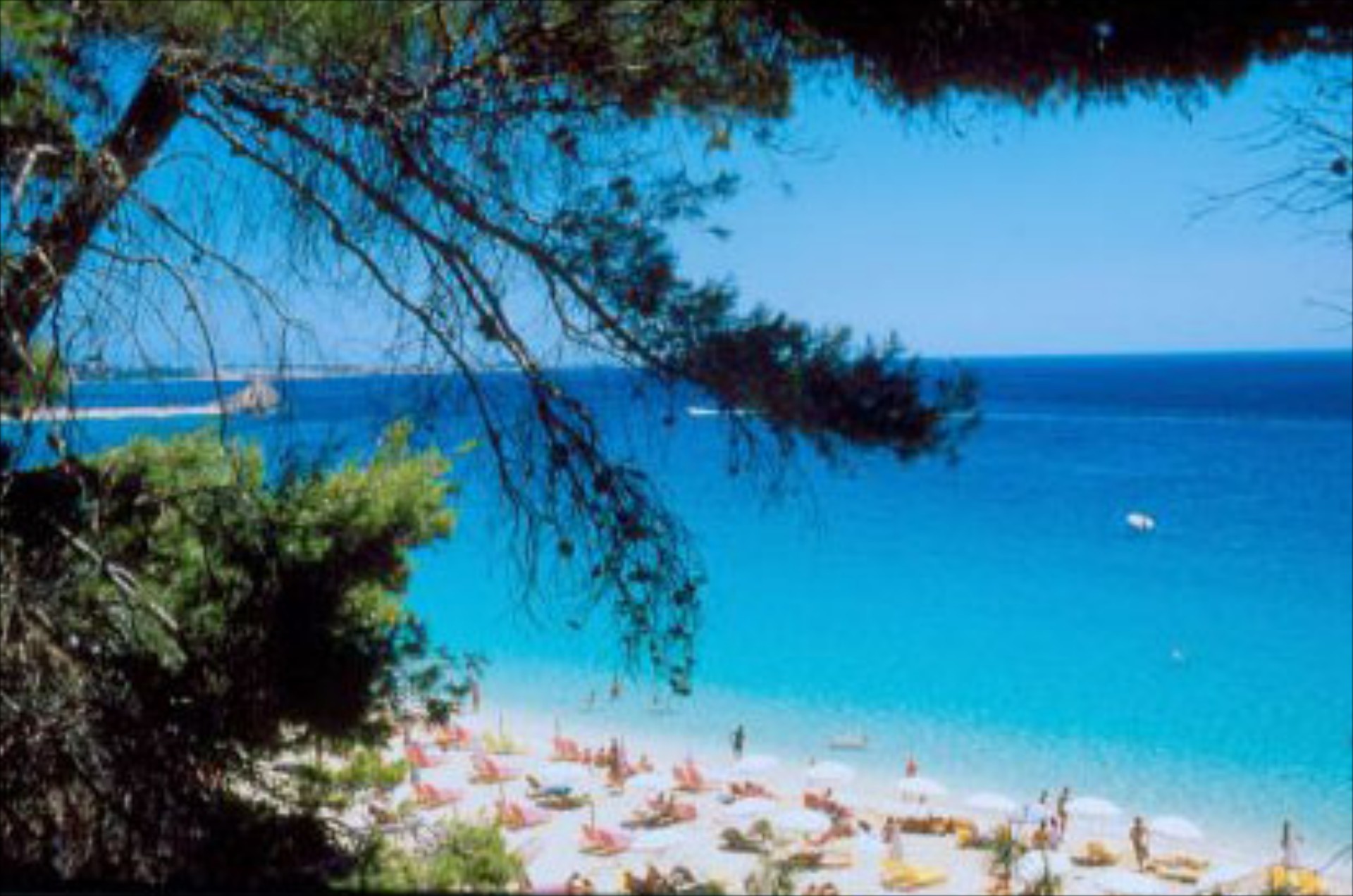 Εξόρμηση στο Αργοστόλι