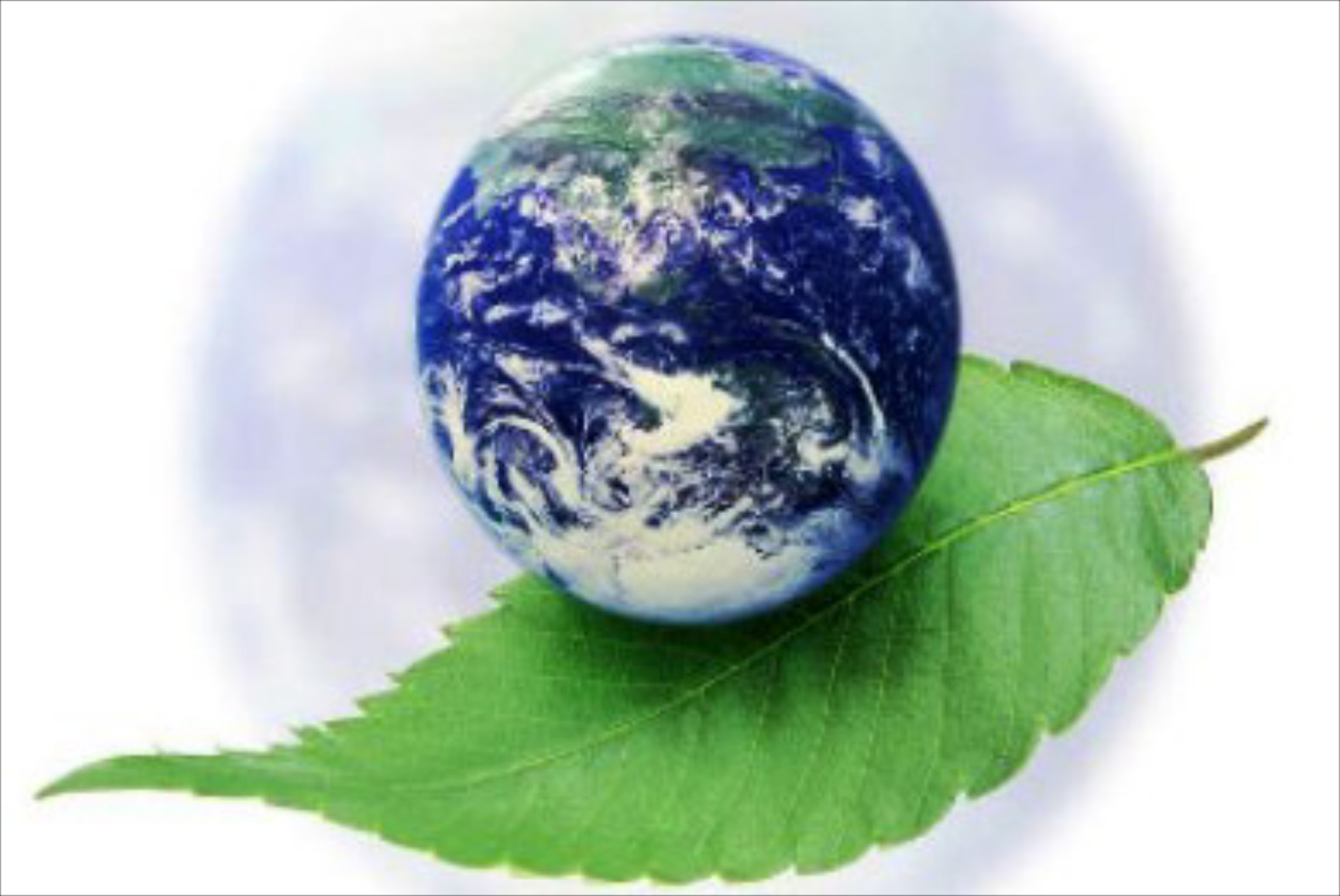 To Υπουργείο για την ημέρα Πριβάλλοντος