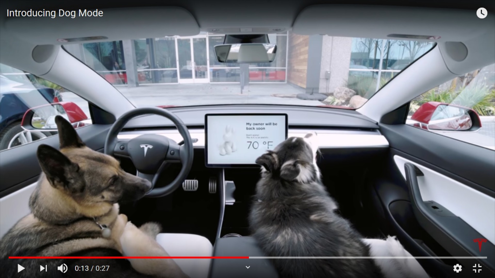 Σκύλος στο αυτοκίνητο με καύσωνα. Με αυτό το αυτοκίνητο γίνεται!