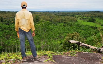 Δενδροφύτευση από μαθητές και Ολυμπιονίκες