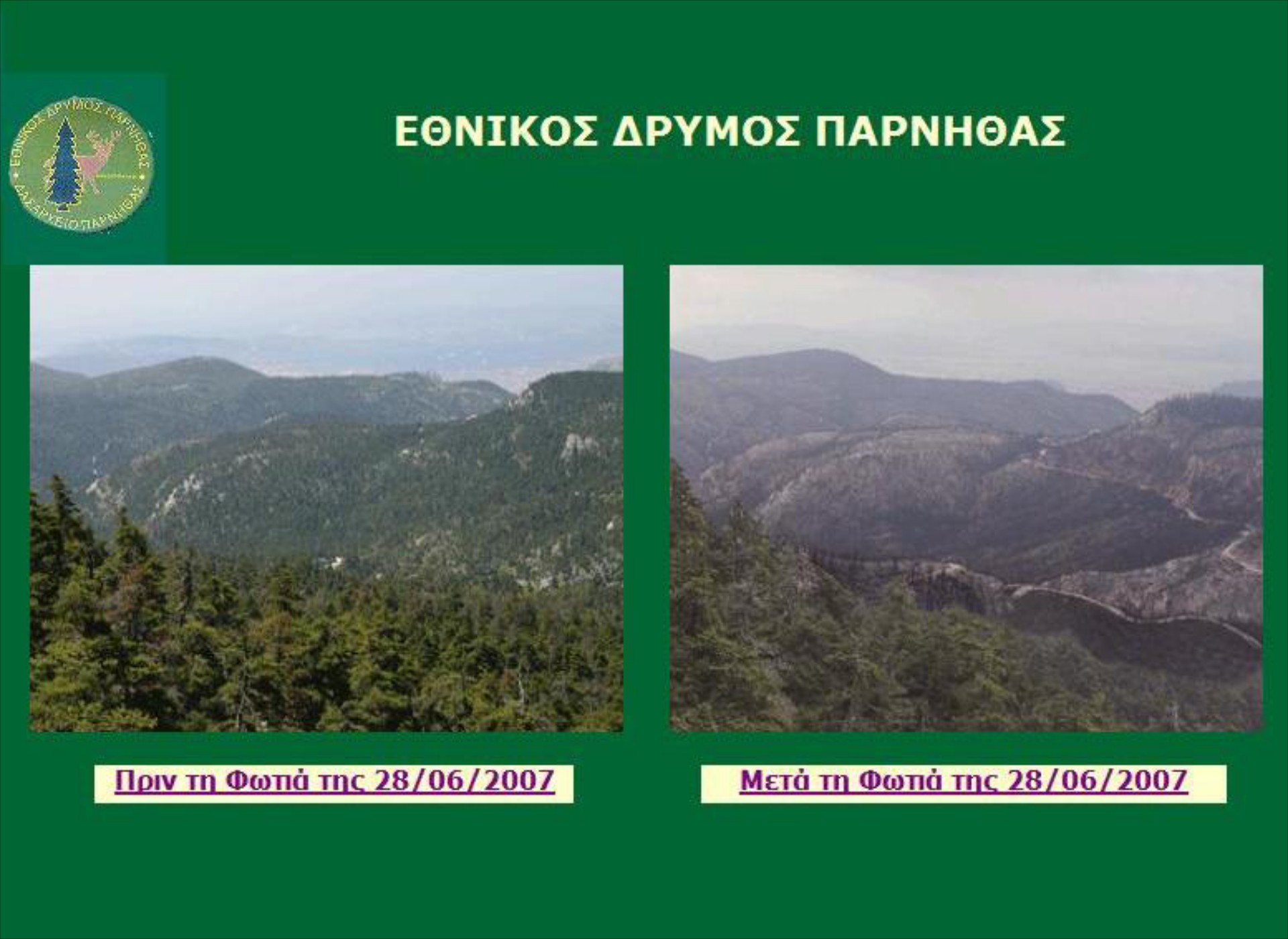 Σε 100 χρόνια θα ξαναγίνει όπως ήταν η Πάρνηθα