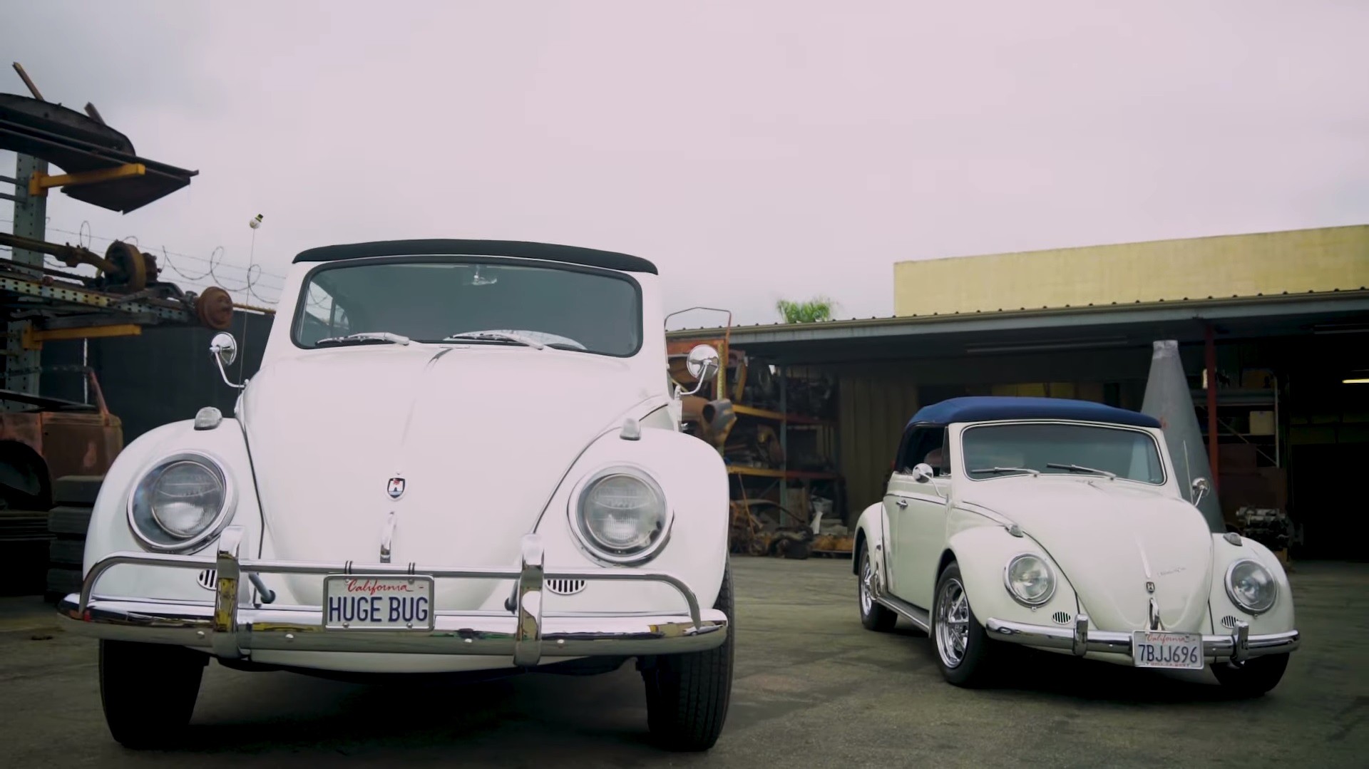 Ο σκαραβαίος που φοβούνται μέχρι και τα Hummer [Video]