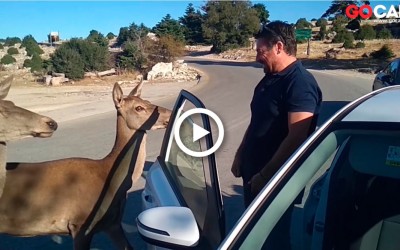 Ελαφοκυνηγός κουλουριών: Γέλασε και Κέρδισε!