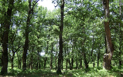 Το μήνυμα του ΥΠΕΚΑ