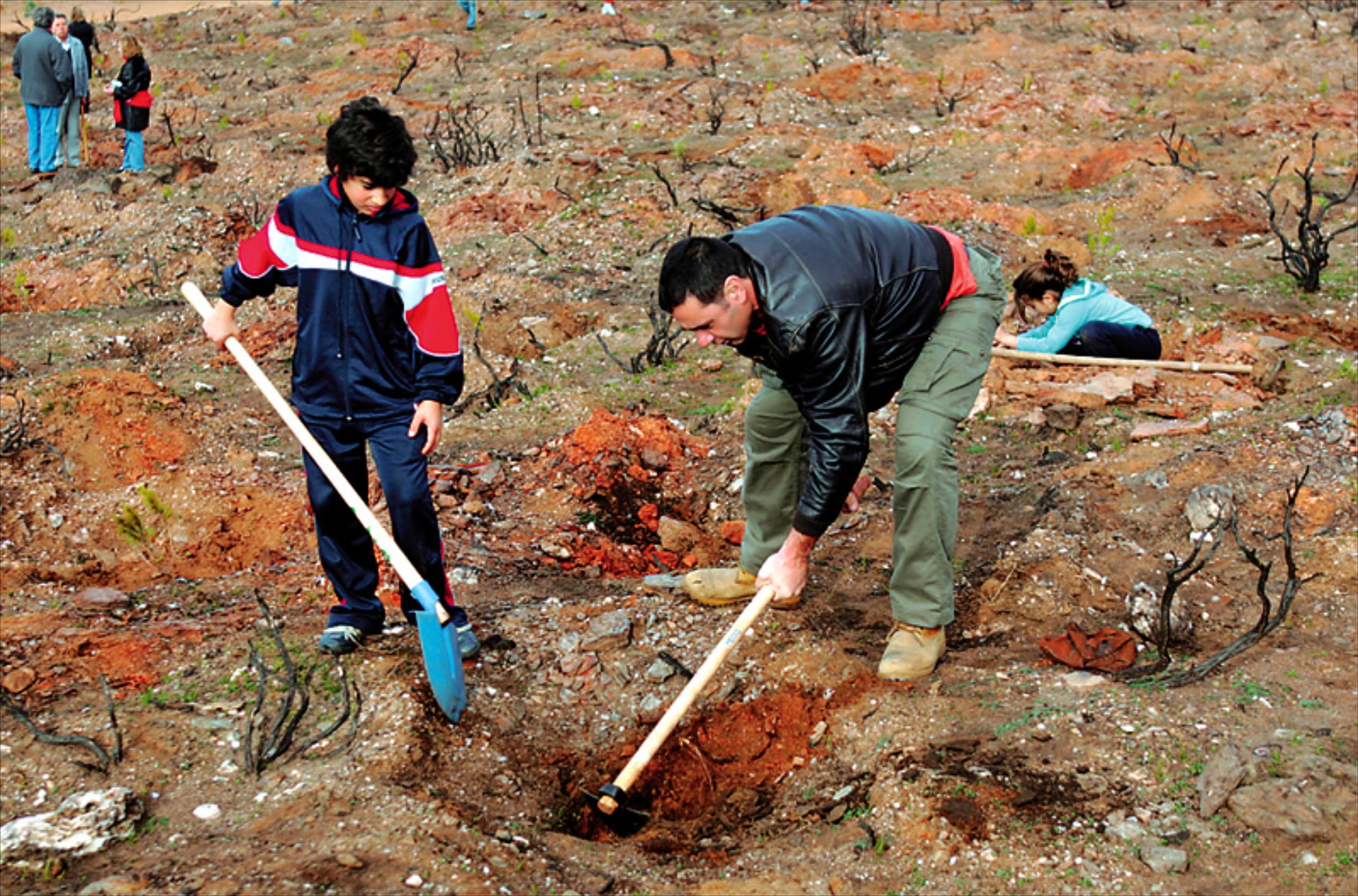 Κάλεσμα για πότισμα στο όρος Αιγάλεω
