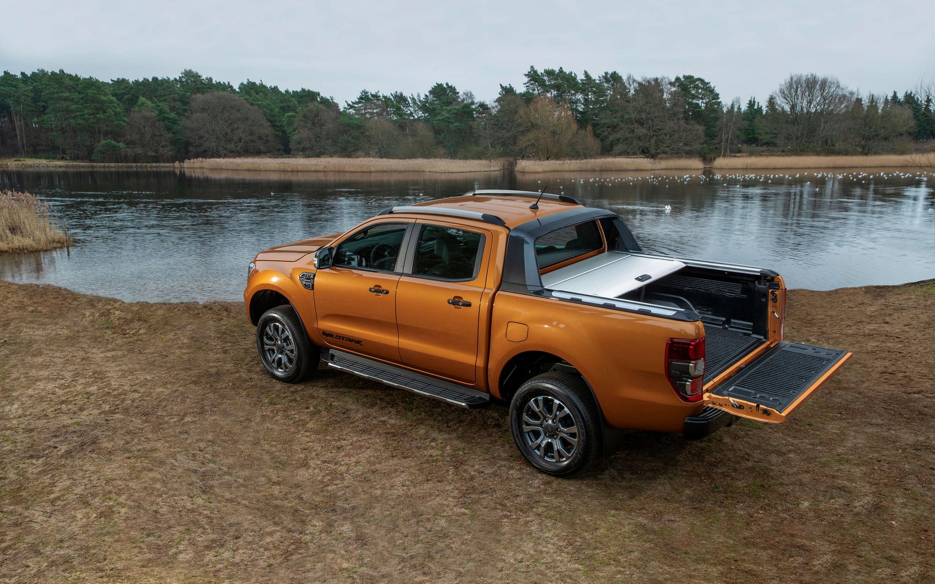 Η Ford πρώτη σε πωλήσεις LCV στη χώρα μας