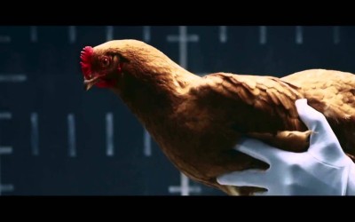 Γιατί μια κότα είχε κεντρικό ρόλο σε διαφήμιση της Mercedes-Benz; [video]